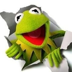 Curieux, sceptique et terriblement optimiste !
Un Gersois adopté par le Pays Basque ou l'inverse...