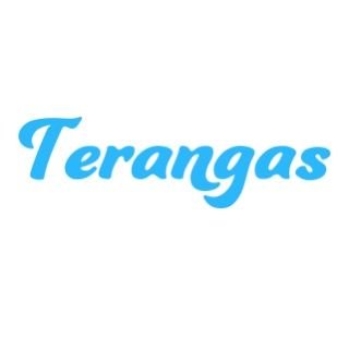 terangasgm Profile Picture