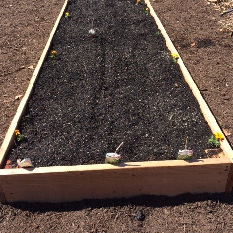 The Community Garden of Albertus Magnus College in New Haven, CT. Experiential classroom, food for the community. A committed partner in ending food insecurity.