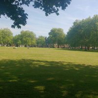 A Care Experienced perspective (@islingtonsn) 's Twitter Profile