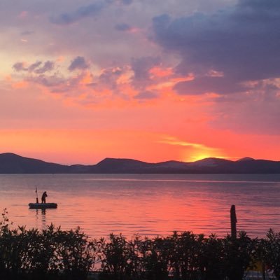 medmussel's profile picture. Fresh Mediterranean Mussel