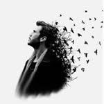 Zarif__Kelam's profile picture. ╭━━●━━━━━━━━━━━━●━━━╮
     Aşk, kalbimizin saygısız misafiridir.Bize
    sormadan gelir, bize sormadan gider!✏😊
╰━━●━━━━━━━━━━━━●━━━╯