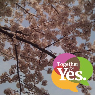 abyrne8391's profile picture. psychologist, feminist, angry Irishwoman