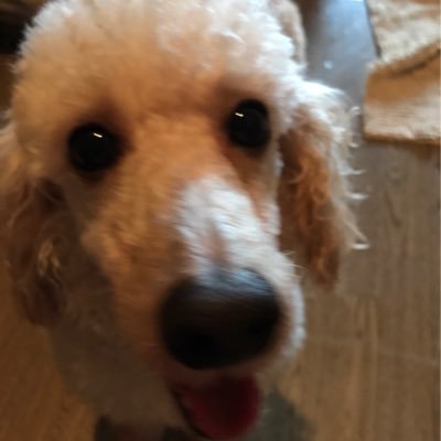 asaokono1215's profile picture. 