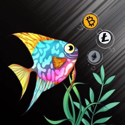 bitfish1 Profile Picture