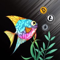 DiscusFish(@bitfish1) 's Twitter Profile Photo