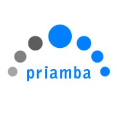 Priamba Soft is a NJ MBE/SBE certified IT and software  services company, providing timely  and cost effective IT Professional Services and Resources.