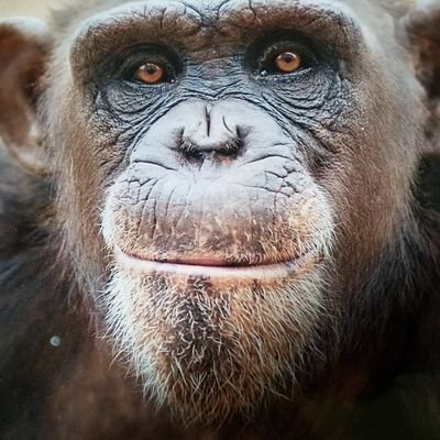 topcat1257's profile picture. Blue Tsunami was real. Unity yes, but justice first. Proud resister that helped make change.