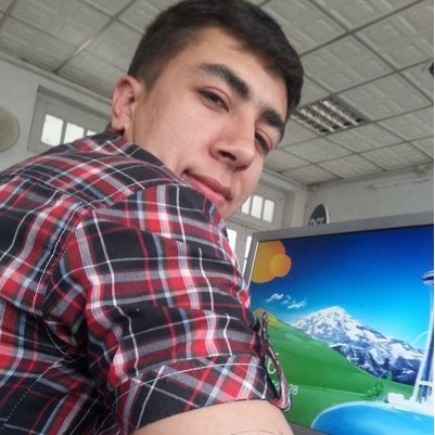 Software Engineer, working as senior developer in IT Department.