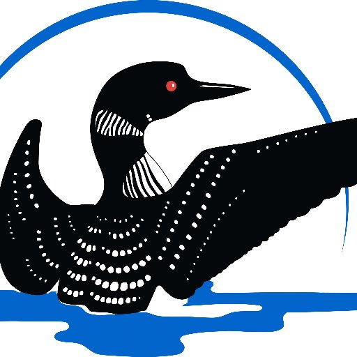 Our mission: to inspire passion for and promote the conservation of Adirondack loons as an environmental sentinel.