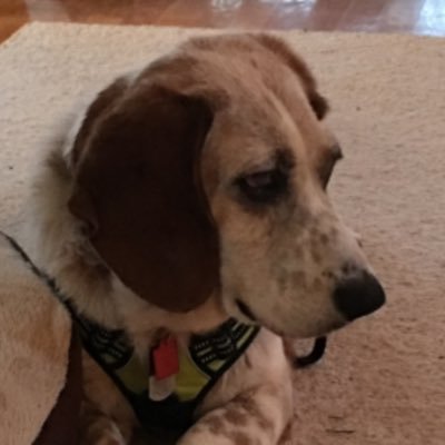 gsmit807's profile picture. Georgia Tech fan, Atlanta Braves, Chelsea and Carolina Hurricanes fan. traveling to Europe