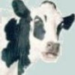 ThePythonicCow's profile picture. Ancient Unix/Linux Hacker