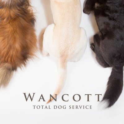 犬と人のための大型複合施設WANCOTT（ワンコット）のオフィシャルtwitterです。DOG PARK専用の 配信となります🐶