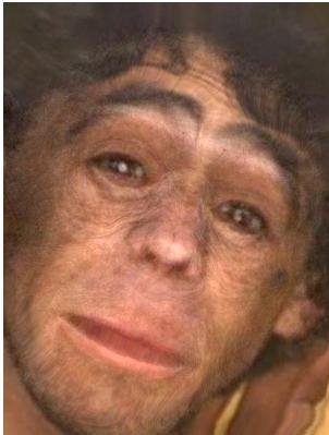 guiPercepcao's profile picture. Um mesclado de matéria com consciência