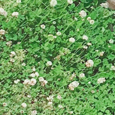 jmwtpjmwtpadm's profile picture. 