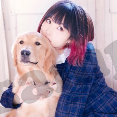 わんこ@LiSAっ子さんのプロフィール画像