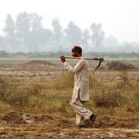 Farmers for Climate Action Pakistan(@F4CAP) 's Twitter Profileg