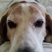 Jules (@julesjules2124) 's Twitter Profile