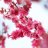 kanako_books's profile image