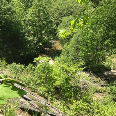 OIIIIIIIO1's profile picture. 