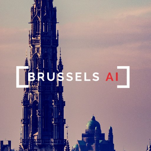 #Brussels chapter @theCityAI global applied #AI community. Meet experts, share lessons learned & challenges. Tweets by @Elena_Tosheva & @DenisDeGroote