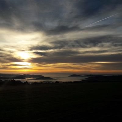 vidalparisads's profile picture. Enduro