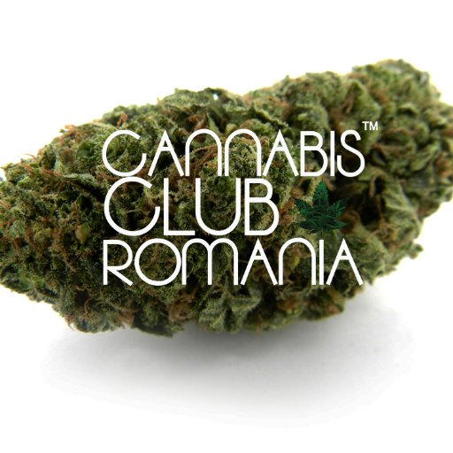 Born from the desire to educate, inform and help people, Cannabis Club Romania was founded in 2015, change Romanian law regarding the use of cannabis.