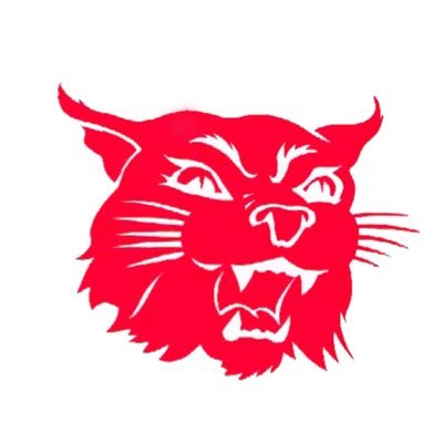 Official Twitter Account of Harding Academy Wildcat and Lady Wildcat Athletics-Micah 6:8