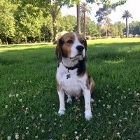 Aasta O'Connor (@aastaoconnor) 's Twitter Profile