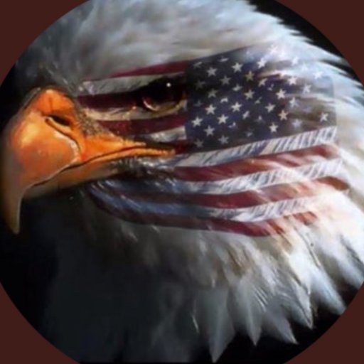Bill_Wolff_16's profile picture. Back The Blue They Always Back You🇺🇸