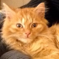 Anne Pradier 🔻 (@pradier_marc) 's Twitter Profile