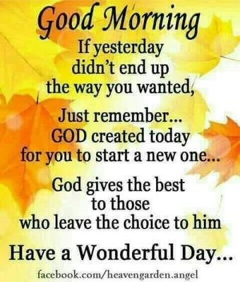 Andisa29356093's profile picture. 