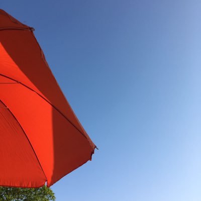 webetcash's profile picture. Cryptocurrency.