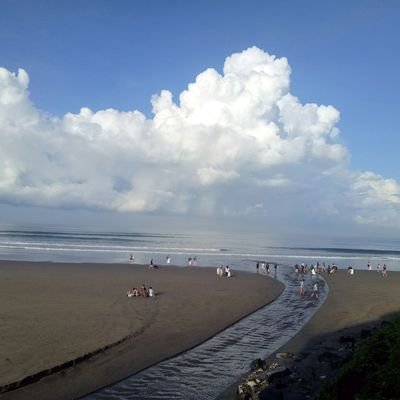 SudrunX's profile picture. “If you tremble with indignation at every injustice then you are a comrade of mine.” - Ernesto Guevara