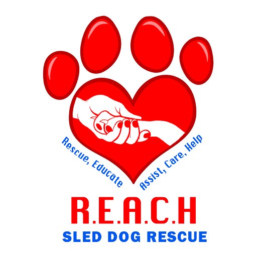 Founded on 27th November 2015........
We became a registered charity 1176301 on 15th December 2017.........
It's all about the dogs pure and simple!