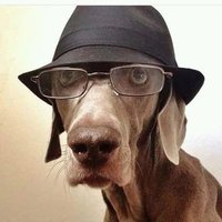 ed edd § eddy (@ed_eddy_edwards) 's Twitter Profile