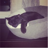GetMad (@ecksdee29) 's Twitter Profile