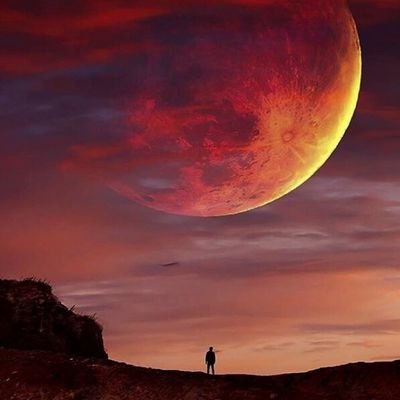 bigonavarro's profile picture. 