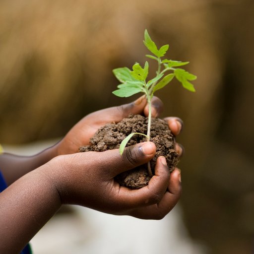 @FeedtheFuture Senegal Jeunesse en Agriculture, un projet mis en œuvre par @virginia_tech pour engager les jeunes dans la croissance économique @USAIDSenegal