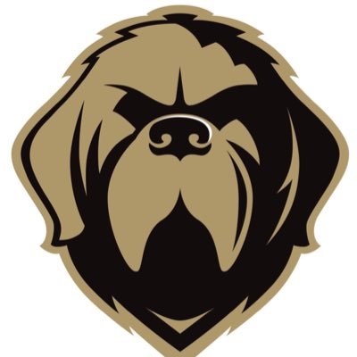 stjohns_sports's profile picture. 