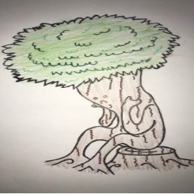 deforestationUS's profile picture. Save the trees, save the world,save yourself...🌲Follow for a follow back! 😋