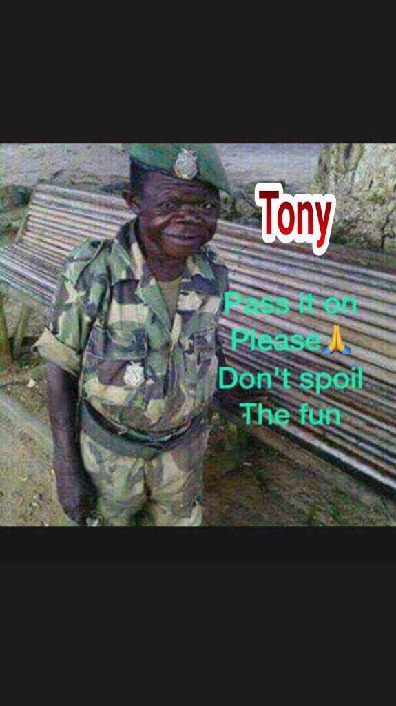 Tippss2's profile picture. 