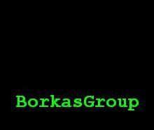 BorkasGroup's profile picture. 