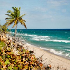 Supporting #infrastructure, #resiliency, and #sustainability efforts in #BocaRaton #Florida.