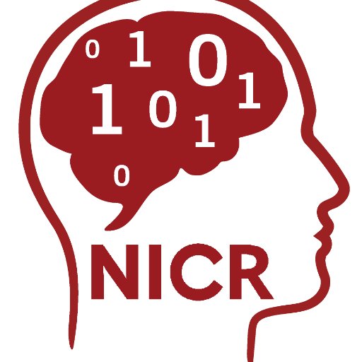 The NICR group at the Stevens Neuroimaging and Informatics Institute of USC focus on developing novel brain image computing techniques.