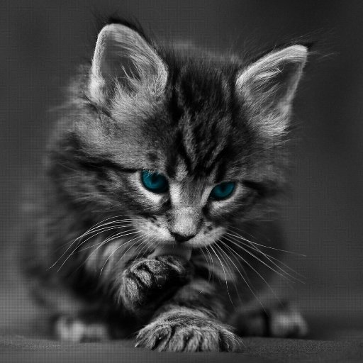 Scoundrelly157's profile picture. Não uso o Twitter, só entro pra ver treta e participar de sorteios 😉