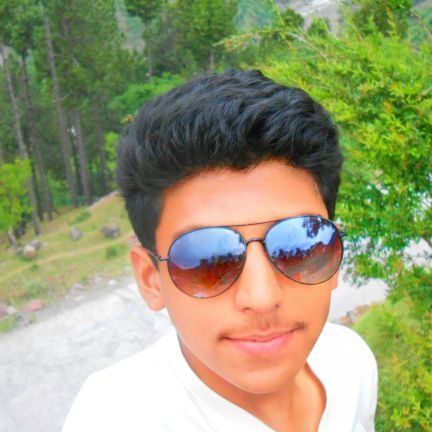 AlphaWo75485399's profile picture. 