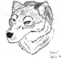 Akeela (@akeelawolf) 's Twitter Profile