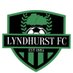 Lyndhurst FC (@lyndhurstfc) Twitter profile photo Lyndhurst FC (@lyndhurstfc) Twitter profile photo