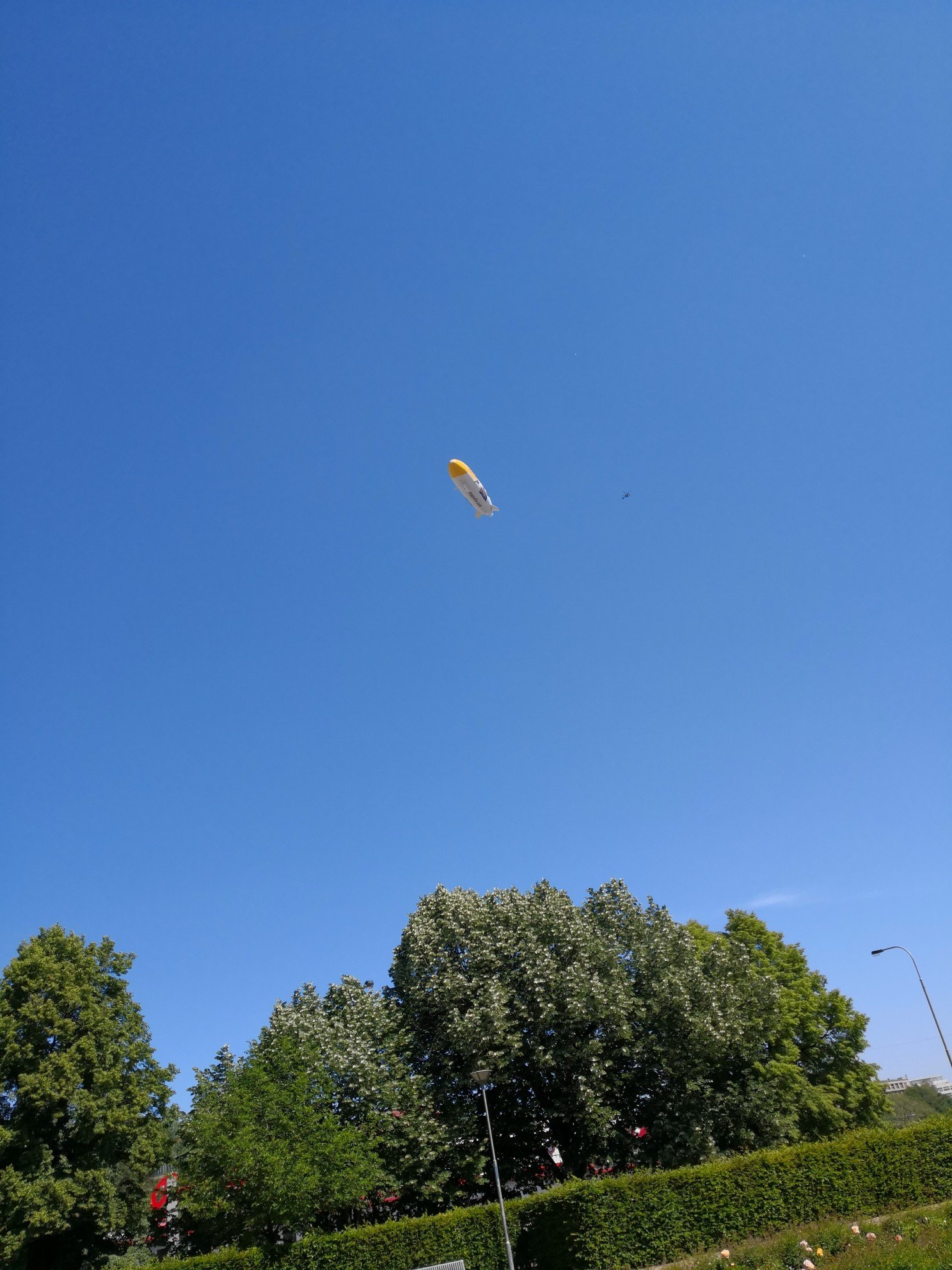 Boek361's profile picture. 